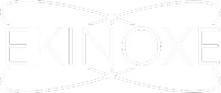 Full Ekinoxe Consulting logo in white, without background.