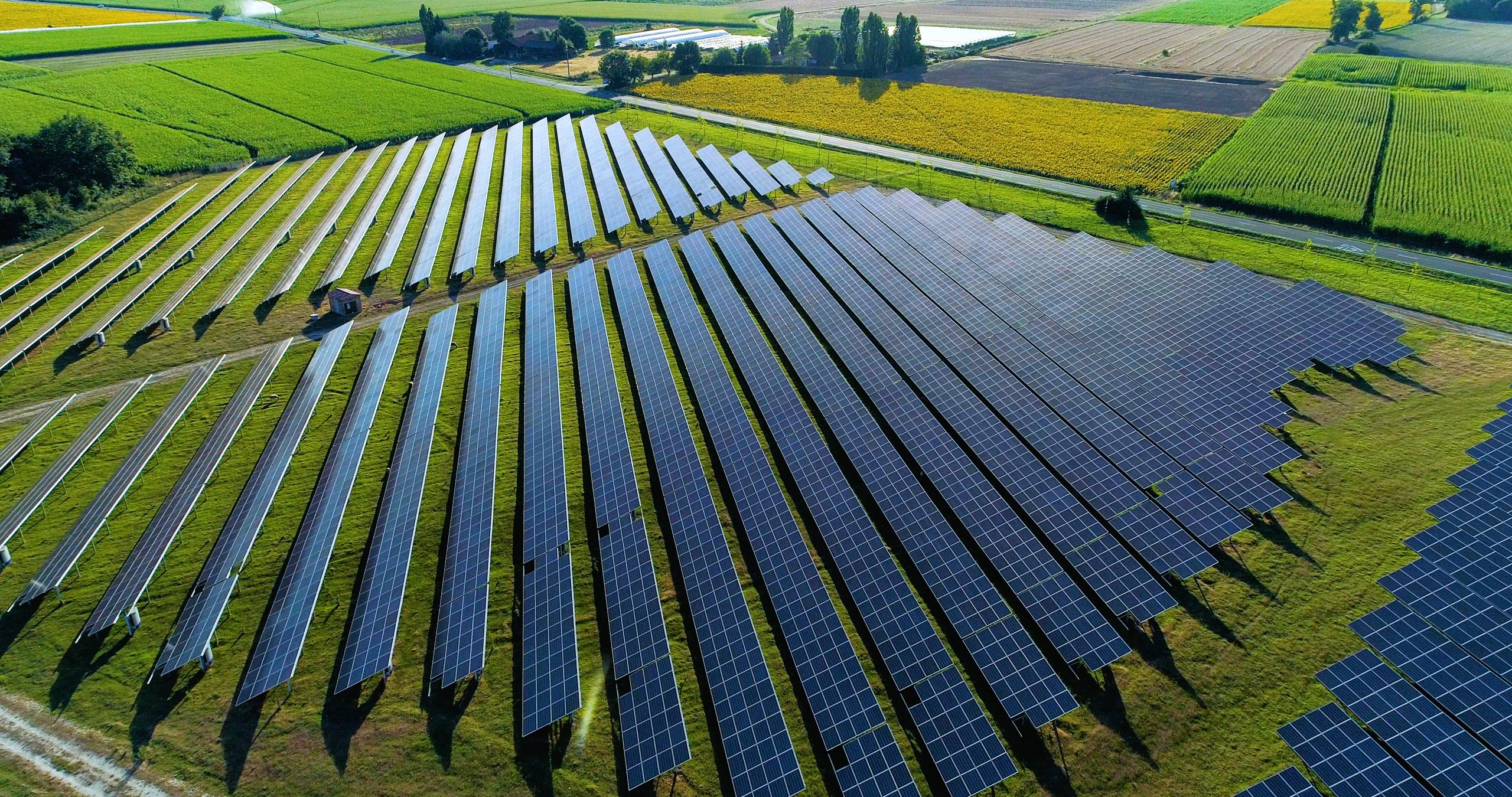 A field of solar panels in the middle of a solar farm.
